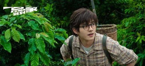 一点就到家,探寻乡村电商的奇迹之路